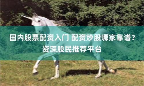国内股票配资入门 配资炒股哪家靠谱？资深股民推荐平台