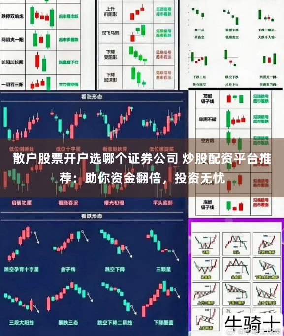 散户股票开户选哪个证券公司 炒股配资平台推荐：助你资金翻倍，投资无忧